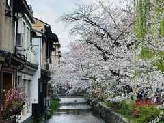 -桃花江餐厅·江景-约会·聚会