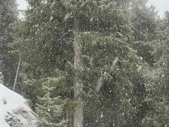 -丝绸之路山地度假区滑雪场