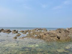 -养马岛旅游度假区