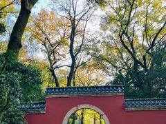 -灵谷景区
