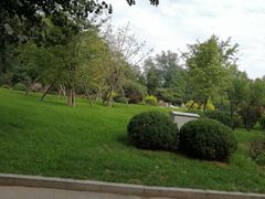 -劳动公园新疆人烤腰子