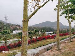 -白石龙音乐公园