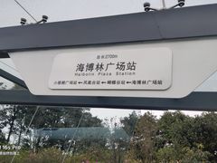 -梧桐山风景名胜区