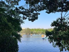 -上海共青森林公园