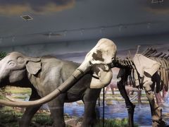 -湖南省地质博物馆