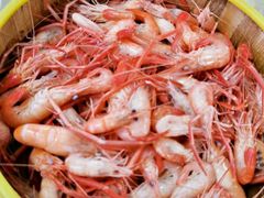 西河河虾-八仔大富楼·河鲜(西江店)