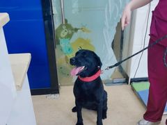 -芭比堂爱心动物医院(柯桥康爱分院)