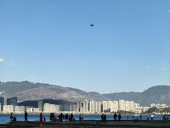 -洱海月湿地公园