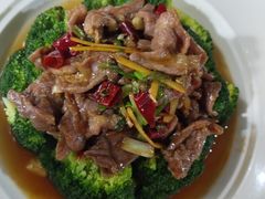 -金龙寨(解西店)