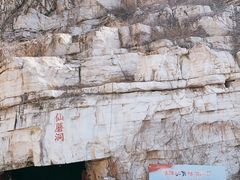 -仙蘑洞
