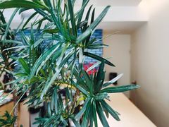 -Onirii Coffee(长乐路店)