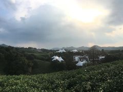 -帐篷客·溪龙茶谷度假酒店