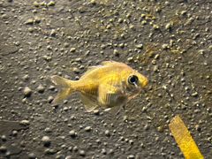 -上海海洋水族馆