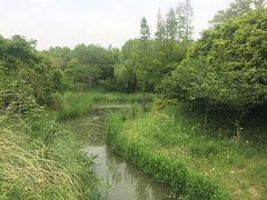 -昆山城市生态森林公园