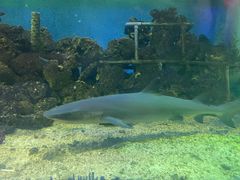 -北国之春国宴(乌兰察布店)