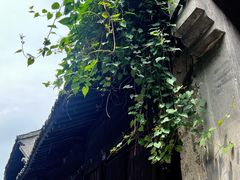 -乌镇东栅景区