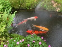 -Chom Cafe and Restaurant