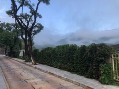 -香山公园