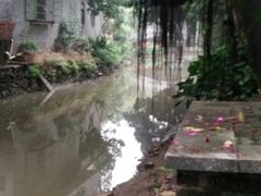 -小洲村
