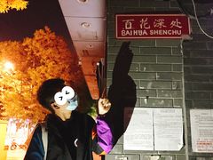 -百花深处胡同
