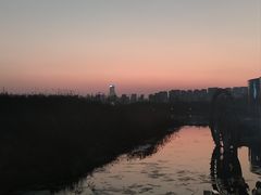 -洋湖国家湿地公园
