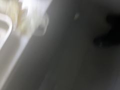 -狮王府淮扬菜(夫子庙老门东店)