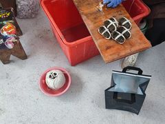 -阳澄湖大闸蟹·琼灵阁牌品牌连锁(吴中总店)