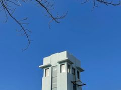 -八大关景区