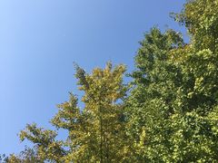 -宝界山林公园