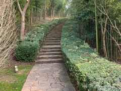 -天目湖涵田半山温泉