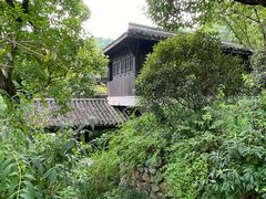 -中国茶叶博物馆(双峰馆区)
