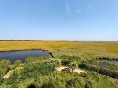 -南大港湿地风景区