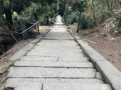 -长沙黑麋峰国家森林公园