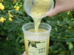 -萃茶师(琅西店)