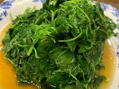 酒香金花菜-协和菜馆(凤凰街店)