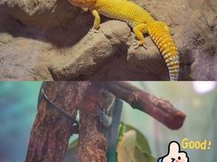 -正佳雨林生态植物园