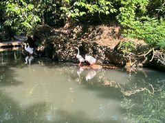 -兰亭风景区