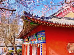 -桃花堤公园