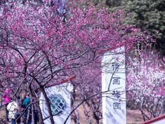 -无锡梅园公园