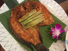 -紫滇源云南生态菜(丹凤街店)