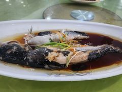 -沿海渔家院海鲜饺子·东北菜(止锚湾店)