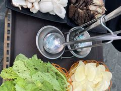 -蘑统田下·野生菌火锅