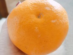-桃仙机场头等舱休息室