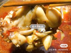 -老天桥蛙炉火锅(姑苏总店)
