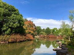 -上海滨江森林公园