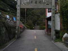 -十八棵（老龙井）御茶园(老龙井店)