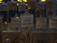 -广东中医药博物馆