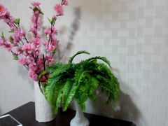android_upload_pic-陕西戏曲非遗博物馆