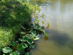 -东郊湿地公园