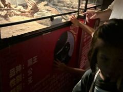 -海合安武汉极地海洋公园